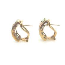 Load image into Gallery viewer, Rainbow Colors Fancy Cut Earrings 14k